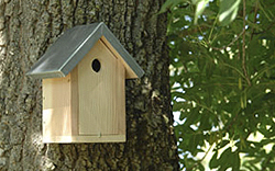 cabane à oiseaux