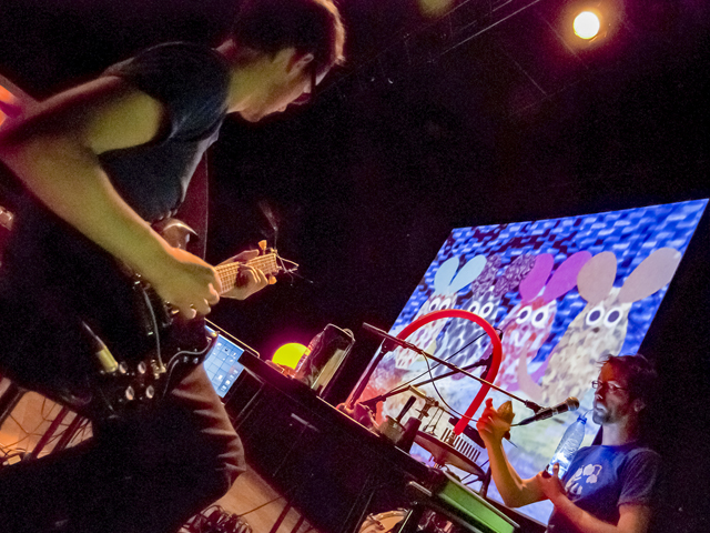 Le Petit monde de Lionni