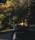 Cinéma de plein air