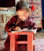 Le chien jaune de Mongolie