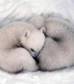 Cinéma : Un jour sur terre